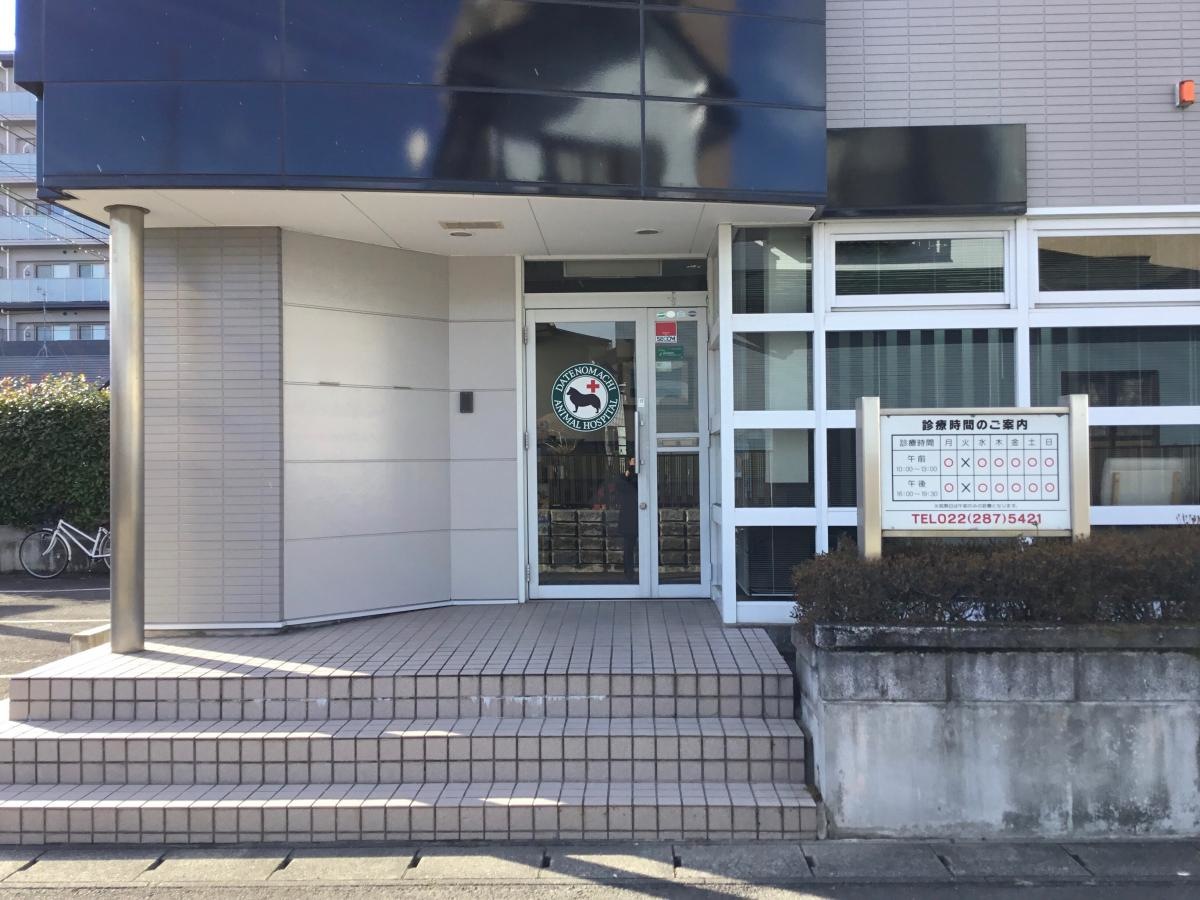 伊達の街 どうぶつ病院です。