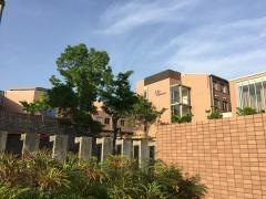 畿央大学大学院