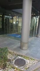 株式会社ディーエイチシー