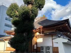 大光寺