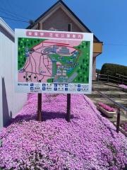 東藻琴芝桜公園
