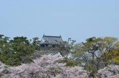 第6号乙川河川緑地