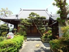 青葉山善徳寺