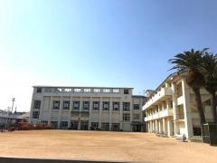 真野小学校