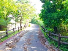 うるま市民の森公園