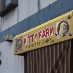 ＫＩＴＴＹ・ＦＡＲＭ