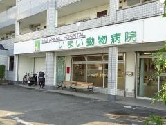 いまい動物病院
