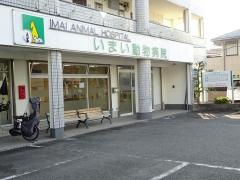 いまい動物病院