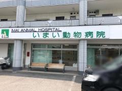 いまい動物病院