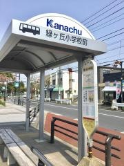 「緑ケ丘小学校前」バス停留所