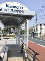 「緑ケ丘小学校前」バス停留所