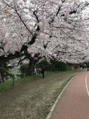 舞鶴公園