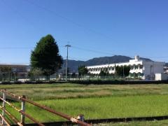 高石小学校