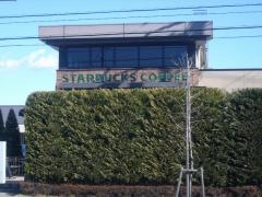 スターバックスコーヒー　宇都宮上戸祭店