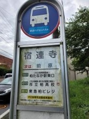 「宿蓮寺」バス停留所