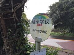 「睦小学校」バス停留所