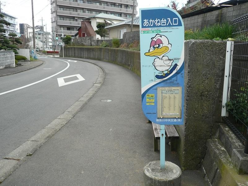 「あかね台入口(伊勢原市)」バス停留所