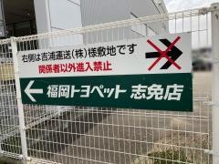 福岡トヨペット志免店