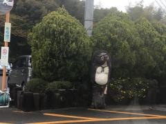 サングレース