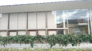 まちの保育園　小竹向原