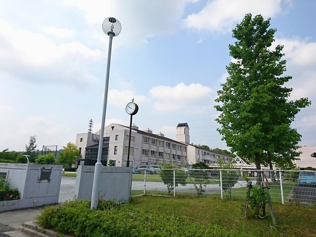 投稿写真2