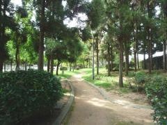 大沢池スポーツ公園