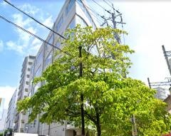 間瀬内科クリニック