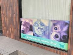プレマ動物ナチュラルクリニック