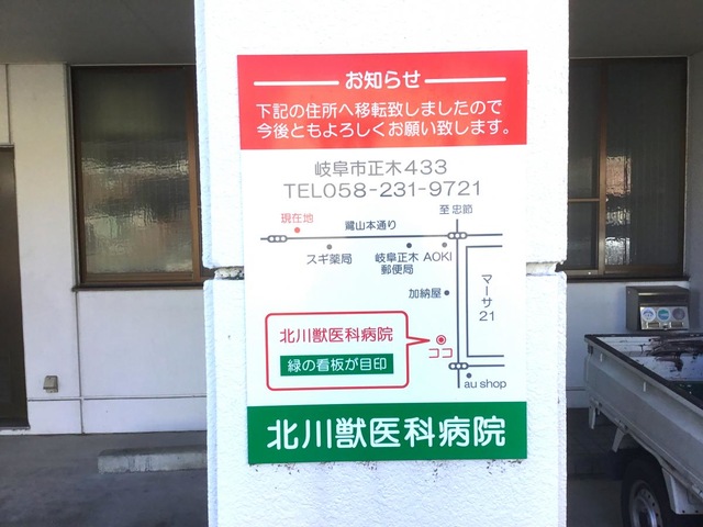 投稿写真1