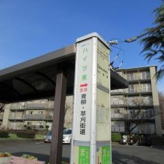 「ハイツ東」バス停留所