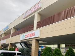 スギドラッグ　秦野平沢店
