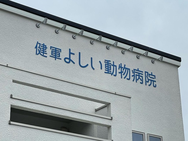 投稿写真3