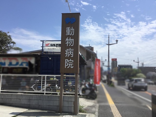 投稿写真8