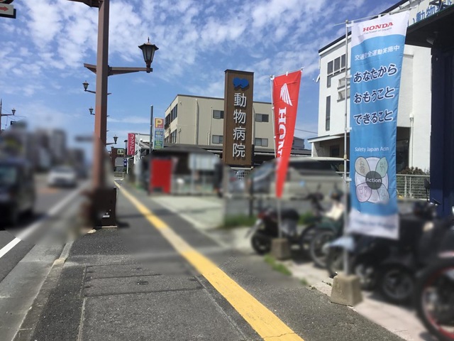 投稿写真7