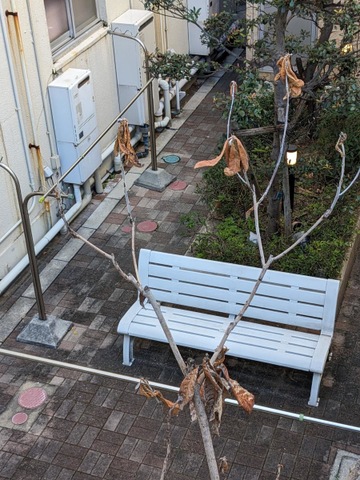 塩屋すみれビレッジ