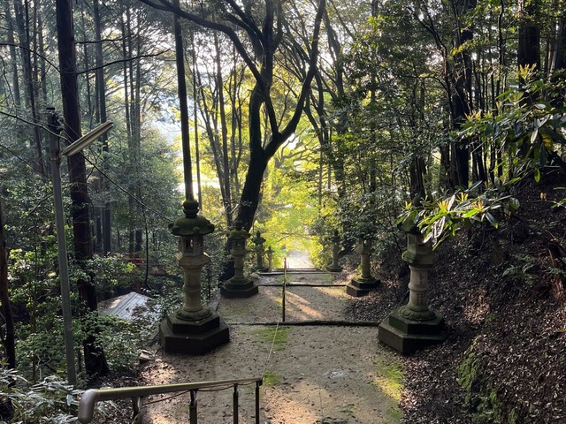 投稿写真3