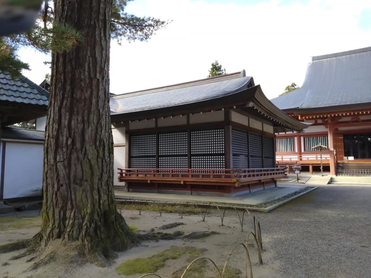 毛越寺