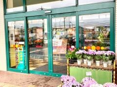 ファインズマスダ渕頭店