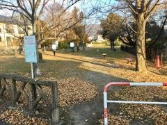 開智公園