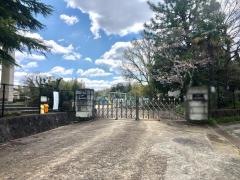豊地小学校