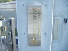 槌ケ原ちどり保育園