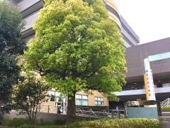東京品川病院