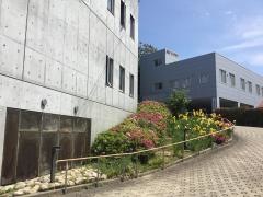 瀧田医院分院