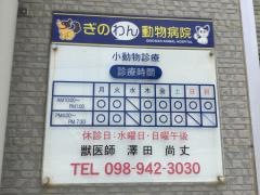 ぎのわん動物病院