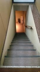 材木町鮨奈可久