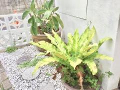 超レトロ焼肉桜坂