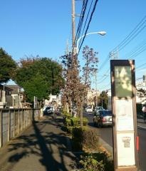 「久留米西高入口」バス停留所