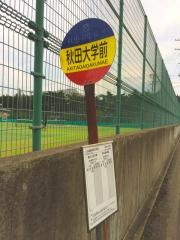 「秋田大学前」バス停留所