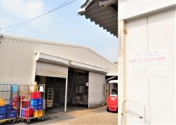 ショッピングマルス本店