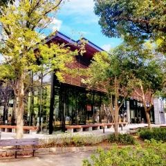 スターバックスコーヒー　浜松城公園店